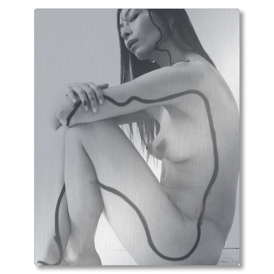 lines 8x10 brushed metal print